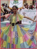 Colorful Pollera