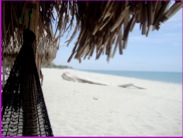 Santa Clara Beach