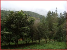 Cerro Azul on a cloudy day