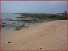 Bay of Panama - Low Tide