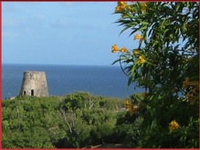 View from our house on the North Shore